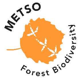 METSO-logo englanti